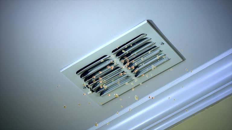 Best Local Air Duct Cleaning Services  in Fivepointville, PA
